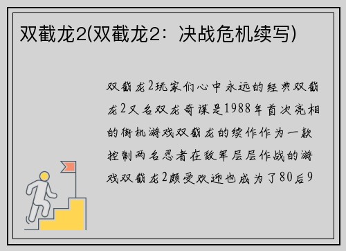 双截龙2(双截龙2：决战危机续写)